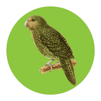 Kakapo