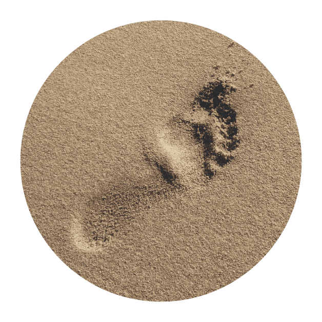 A footprint in the sand