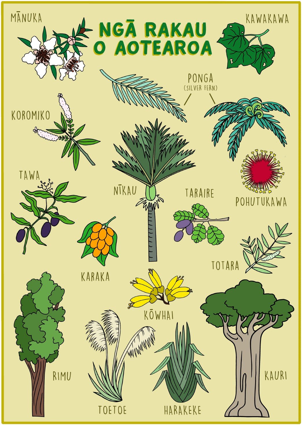 Native plants poster